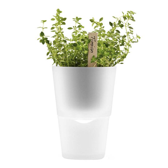 Eva Solo - Örtkruka självvattnande 11 cm Frostat Glas