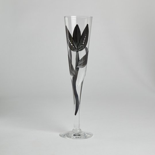 Kosta Boda - SÅLD Champagneglas "Svart Tulpan" 1 st