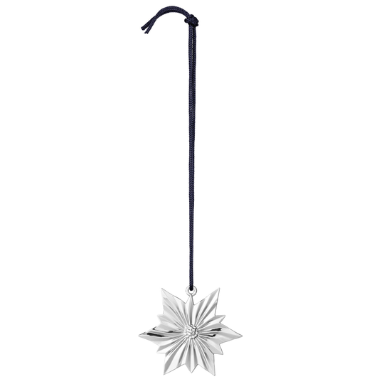 Rosendahl Nordstjärna, silver