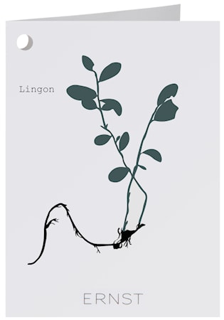 Kort Lingon