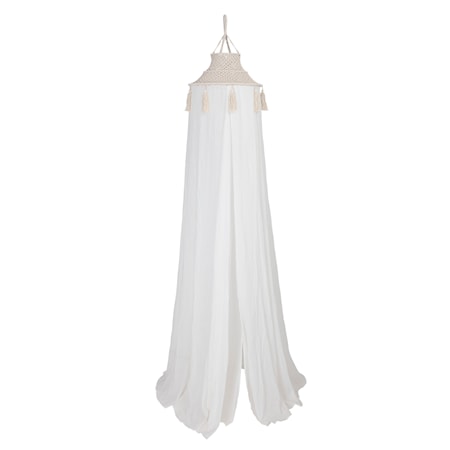 Hugh Canopy, Nature, Cotton
