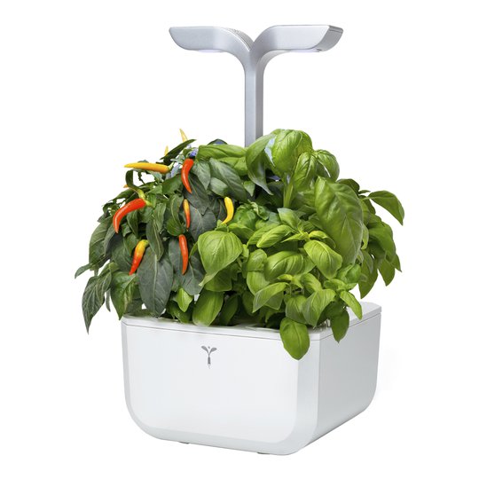 Véritable - Exky Smart Garden Arctic White