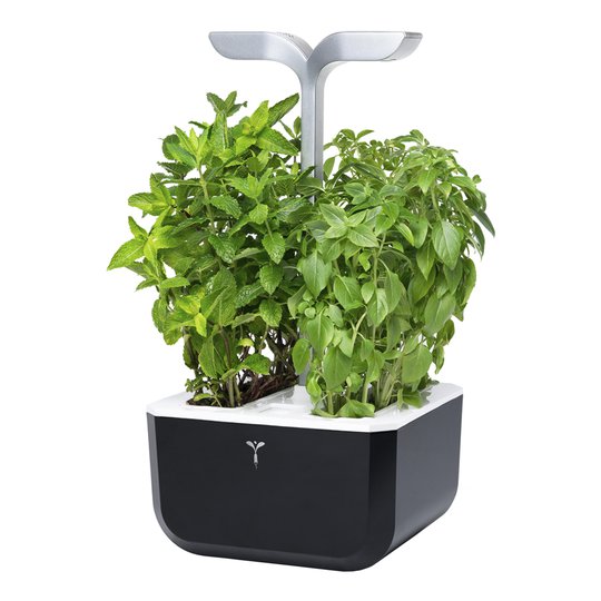 Véritable - Exky Smart Garden Soft Black