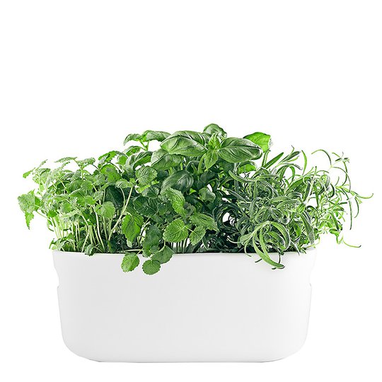 Eva Solo - Herb Organiser Örtkruka Självvattnande Vit