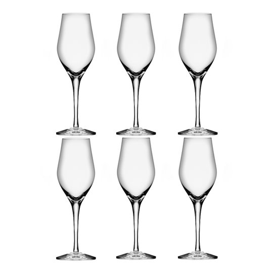 Orrefors - Sense Champagneglas 25,5 cl 6-pack