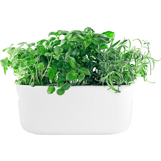 Eva Solo Självvattnande Herb Organiser Vit