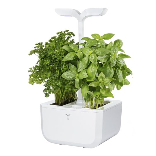 Véritable - Exky Classic Garden