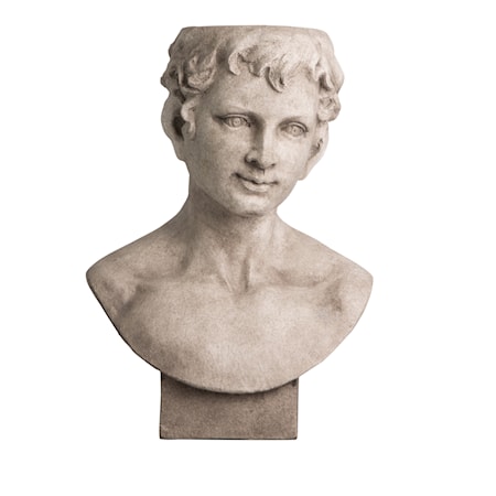 Kruka Statue Ansikte Grå
