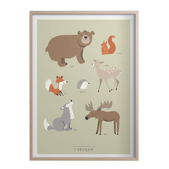 Kunskapstavlan - Poster 50x70 cm I skogen