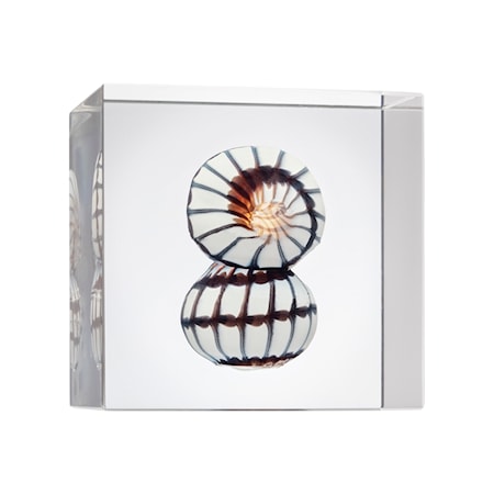 Annual Cube 2022 Dekoration 85x80mm