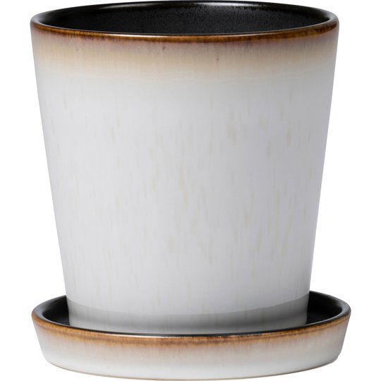 Bitz Örtkruka 10 cm Creme