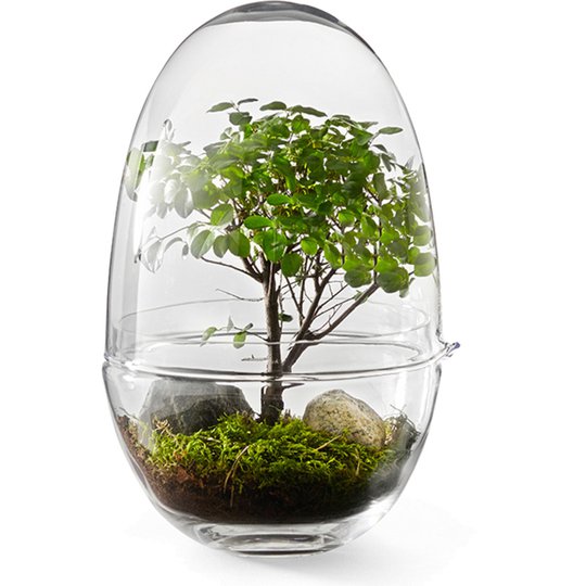 Design House Stockholm Grow Miniväxthus glas S Liten