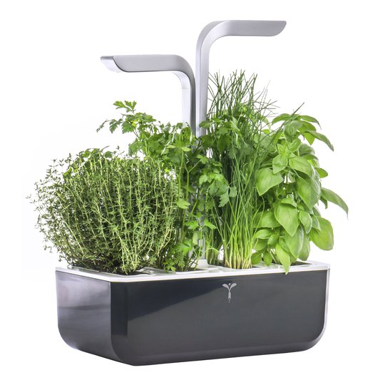 Véritable - Véritable Smart Garden Soft Black
