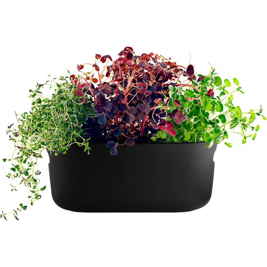 Eva Solo Självvattnande Herb Organiser Svart