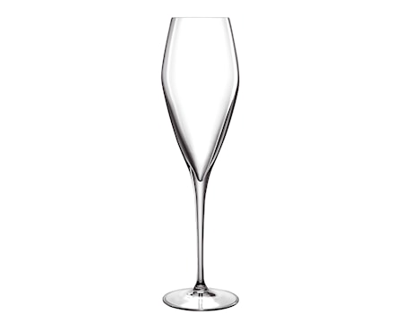 LB Atelier Champagneglas/Prosecco 27cl 2 st