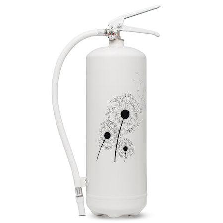Nexa Fire & Safety Brandsläckare Maskros 6kg 43A