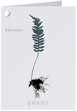 Kort Ekbräken