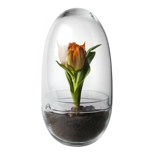 Design House Stockholm - Grow Växthus Medium 24 cm
