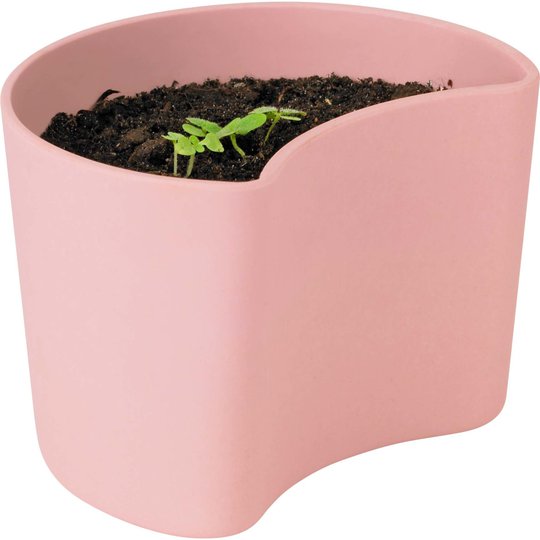 RIG-TIG Your Tree Kruka med frön, Rosa