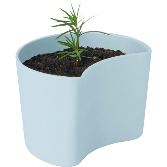 RIG-TIG Your Tree Kruka med frön, Blå