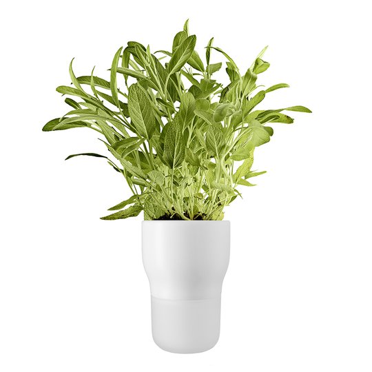 Eva Solo - Kruka självvattnande 11 cm Vit