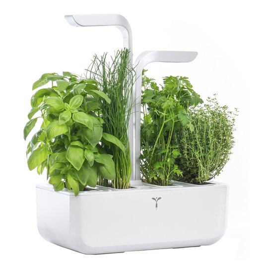 Véritable - Véritable Classic Garden