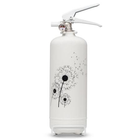 Nexa Fire & Safety BrandslÃ¤ckare Maskros 2kg 13A