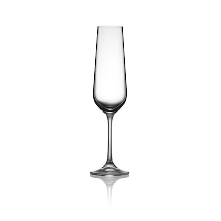 Enjoy Champagneglas 20 cl 4-pack Klar